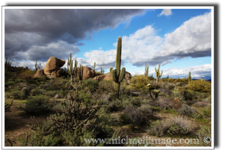 "granite and saguaro" 2
granite mountain trail
scottsdale, az.